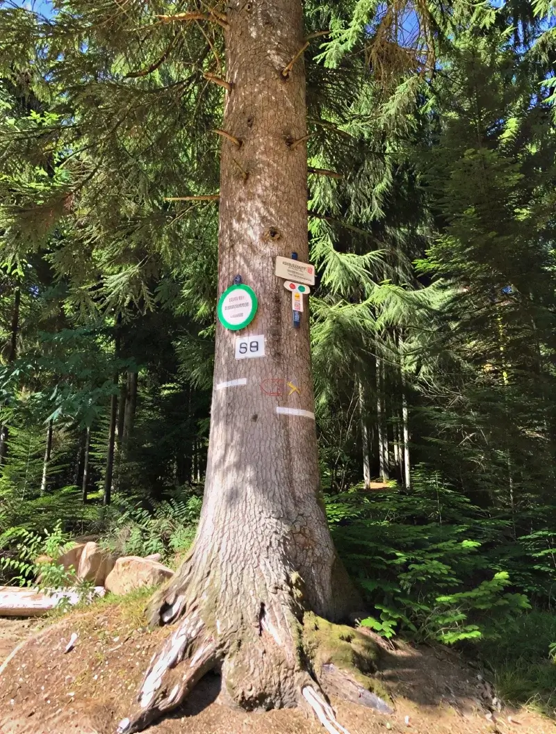 col-de-dialtrepoix (1)