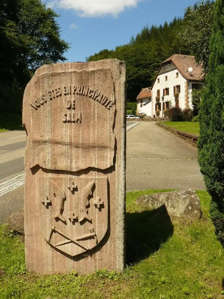 histoire-Principauté_de_Salm